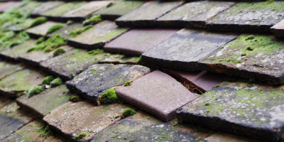 Talwrn roof repair costs